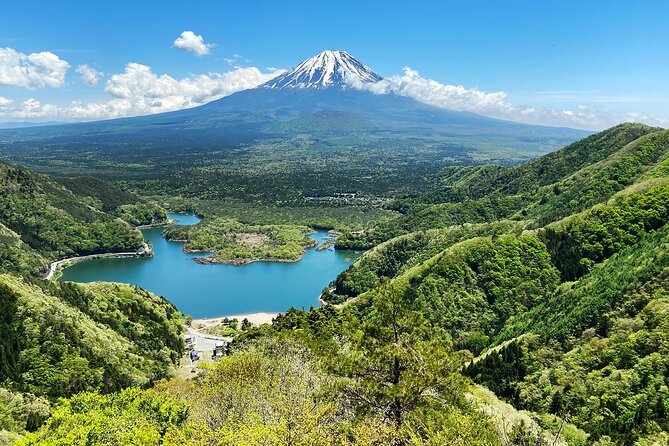Aokigahara