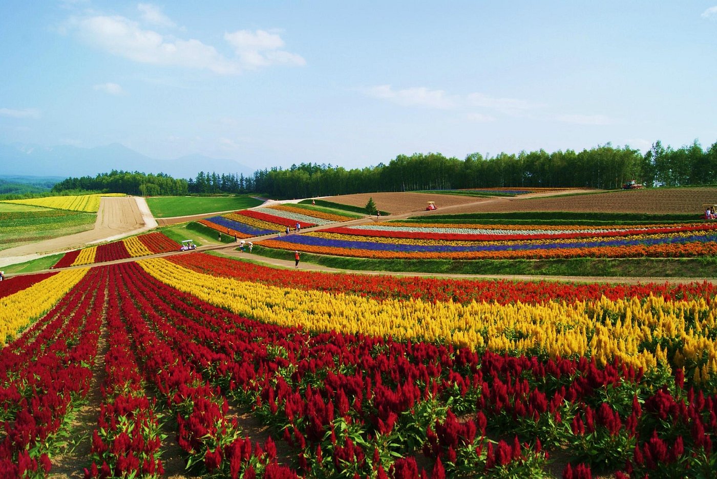 Hokkaido
