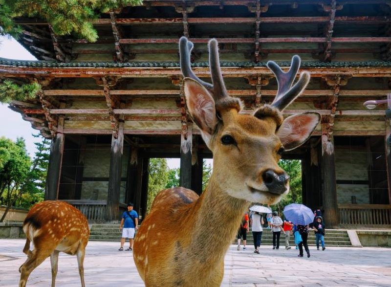Nara